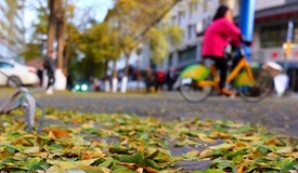 冷空气发威 大风降温“霸屏”北方