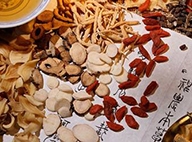 医教协同 好中医是这样养成的