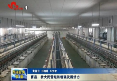 曹县：壮大民营经济增强发展活力