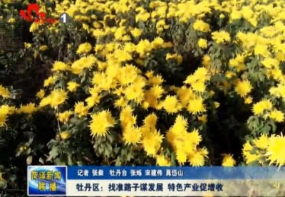 牡丹区:找准路子谋发展 特色产业促增收