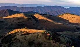 大巴山神田草甸