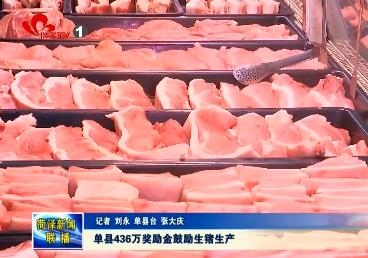单县436万奖励金鼓励生猪生产