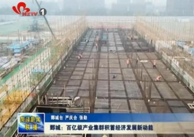 鄄城：百亿级产业集群积蓄经济发展新动能