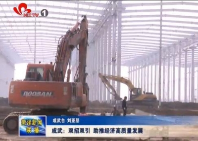 成武：双招双引 助推经济高质量发展