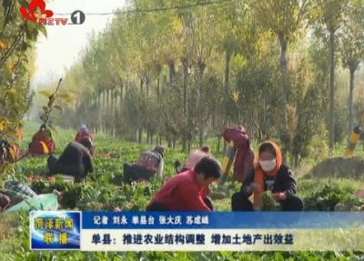 单县：推进农业结构调整 增加土地产出效益