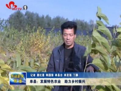 单县：发展特色农业产业 助力乡村振兴