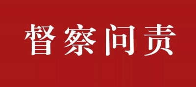 通报！菏泽11名干部责任人被严肃问责！5名党内警告！5名诫勉！1 名调离岗位