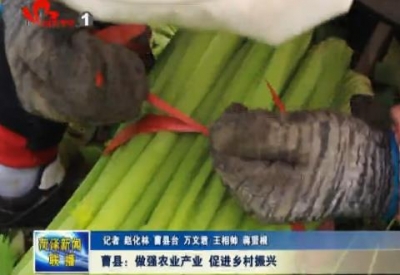 曹县：做强农业产业 促进乡村振兴