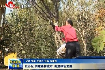 牡丹区:创建森林城市 促进绿色发展