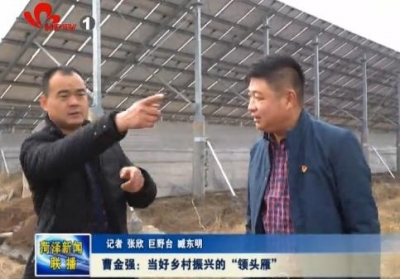 曹金强：当好乡村振兴的“领头雁”