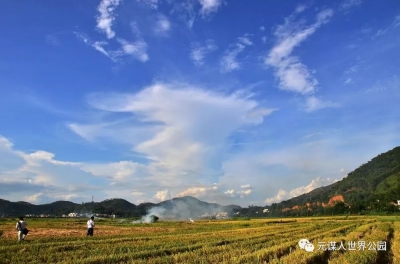 菏泽人：在七彩云南有我们自己的家