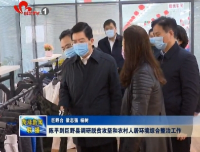 陈平到巨野县调研脱贫攻坚和农村人居环境综合整治工作