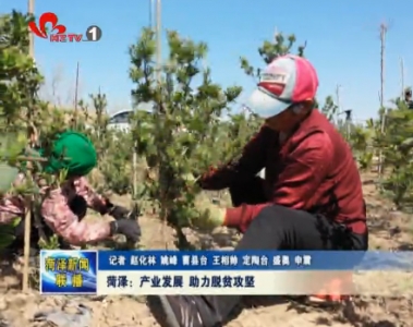 菏泽：产业发展 助力脱贫攻坚