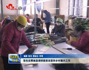 张伦在鄄城县调研脱贫攻坚和乡村振兴工作