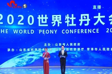  2020世界牡丹大会 