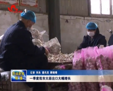 一季度我市大蒜出口大幅增长