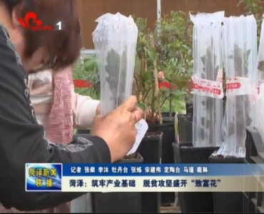 菏泽：筑牢产业基础 脱贫攻坚盛开“致富花”