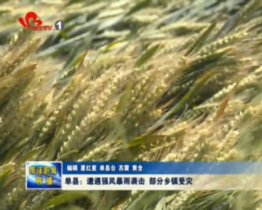 单县：遭遇强风暴雨袭击 部分乡镇受灾