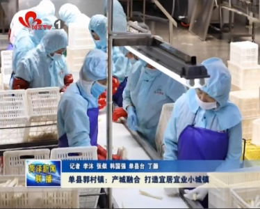 单县郭村镇：产城融合 打造宜居宜业小城镇