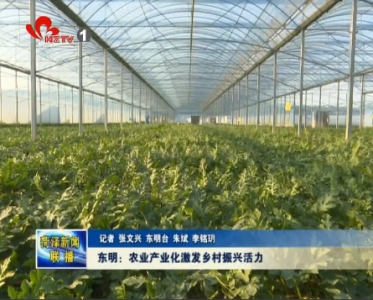 东明：农业产业化激发乡村振兴活力