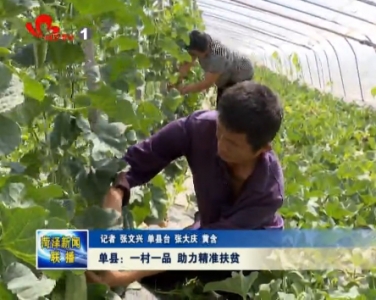 单县：一村一品 助力精准扶贫