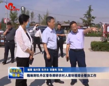 魏琳到牡丹区督导调研农村人居环境综合整治工作