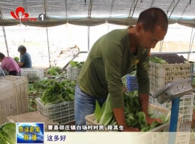 曹县邵庄镇扶贫记：扶贫扶出大产业