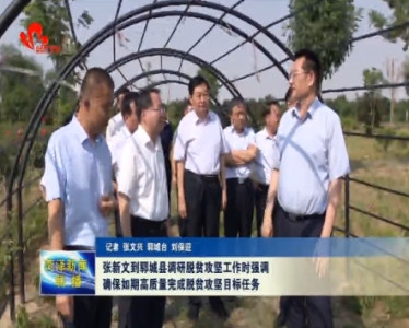 张新文强调：确保如期高质量完成脱贫攻坚目标任务