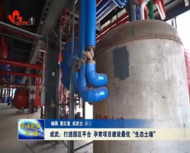 成武：打造园区平台 孕育项目建设最优“生态土壤”