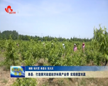 单县：打造黄河故道经济林果产业带 实现绿富双赢