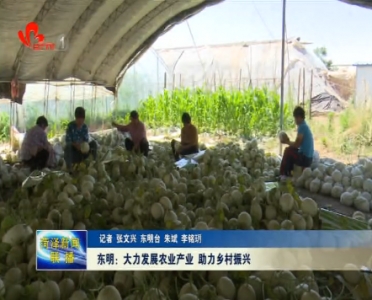 东明：大力发展农业产业 助力乡村振兴