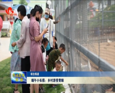 端午小长假：乡村游受青睐