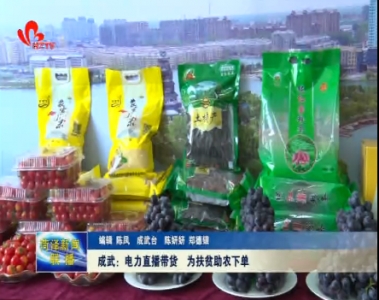 成武：电力直播带货 为扶贫助农下单