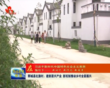 鄄城红旗村：建新居兴产业 新机制推动乡村全面振兴