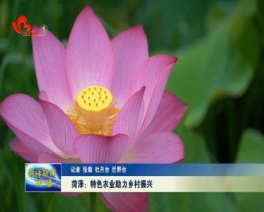 单县：特色农业助力乡村振兴