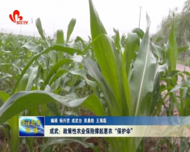 成武：政策性农业保险撑起惠农“保护伞”