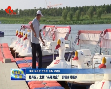 牡丹区：发挥“头雁效应” 引领乡村振兴