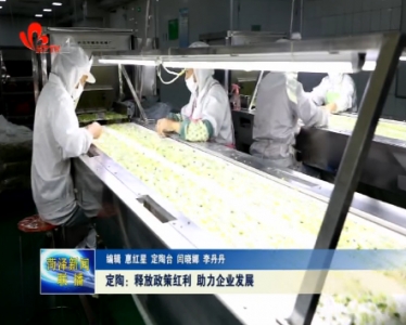 定陶：释放政策红利 助力企业发展