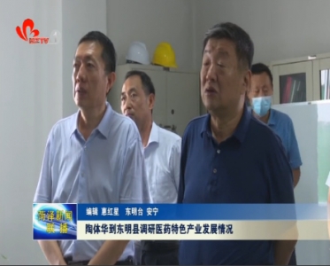 陶体华到东明县调研医药特色产业发展情况