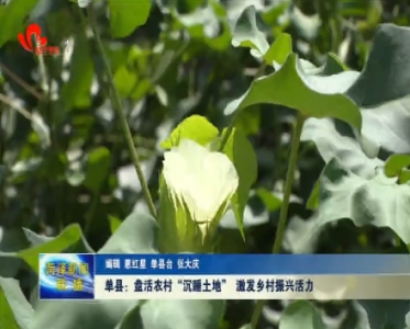 单县：盘活农村“沉睡土地” 激发乡村振兴活力