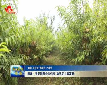 鄄城：党支部领办合作社 助农走上致富路