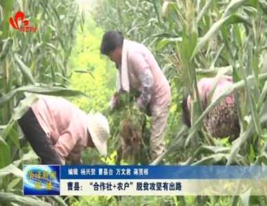 曹县：“合作社+农户”脱贫攻坚有出路