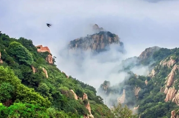 你可能对山东有点误解，我觉得