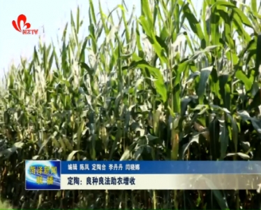 定陶：良种良法助农增收