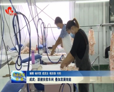 成武：联建扶贫车间 叠加发展效能