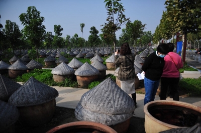 探“伯乐故里” 游水韵新城