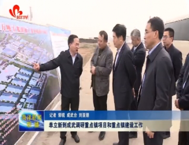 单立新到成武调研重点镇项目和重点镇建设工作