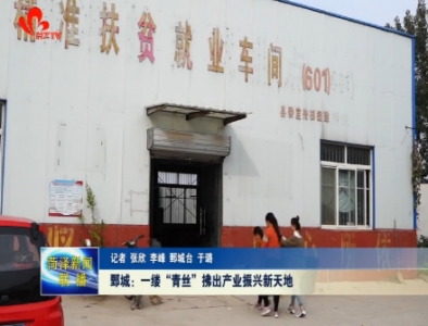 鄄城：一缕“青丝”拂出产业振兴新天地