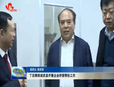 丁志刚到成武县调研企业纾困帮扶工作