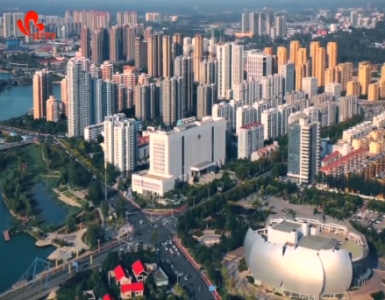 【为了总书记的嘱托】系列之五：高擎党旗引领全面发展